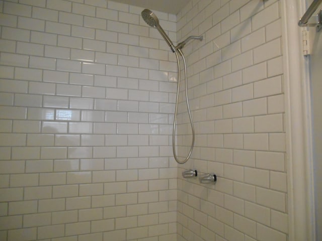 interior details with tiled shower