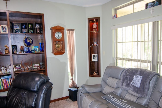 living room with carpet flooring
