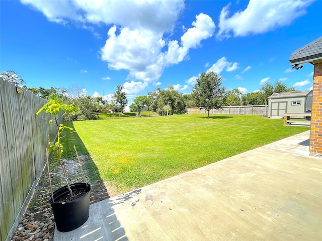 view of yard featuring a storage unit and a patio