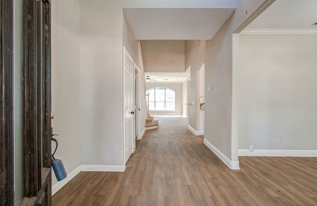 hall featuring ornamental molding and dark hardwood / wood-style floors