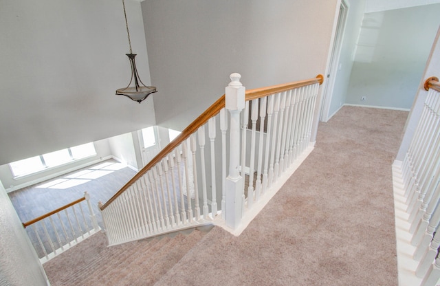 stairs featuring carpet flooring and a skylight