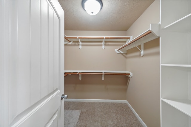 spacious closet with carpet