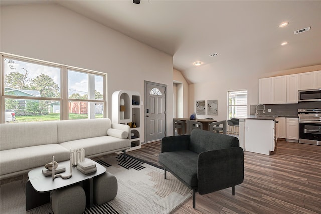 living room with sink, plenty of natural light, and dark wood-type flooring