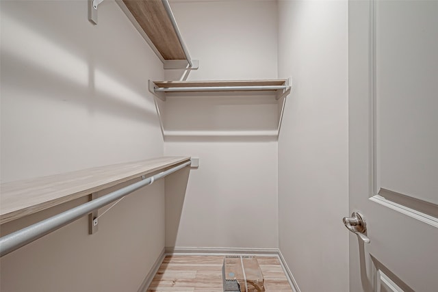 spacious closet featuring light hardwood / wood-style flooring