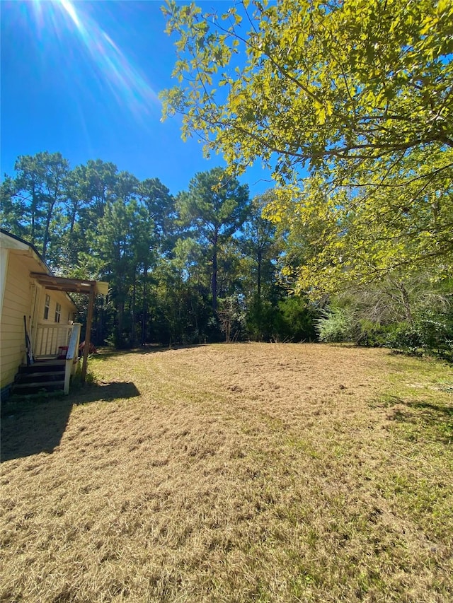 view of yard