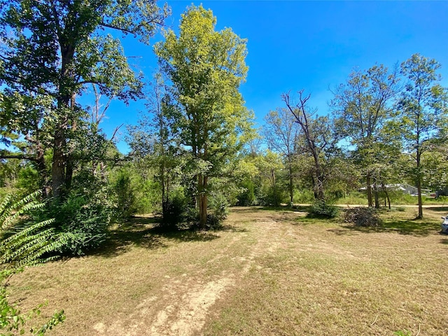 view of local wilderness