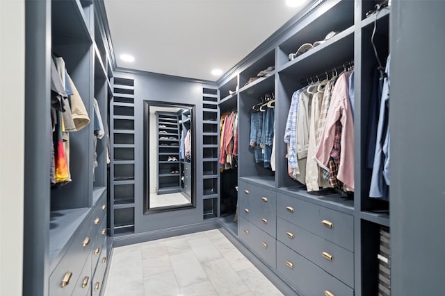 view of spacious closet