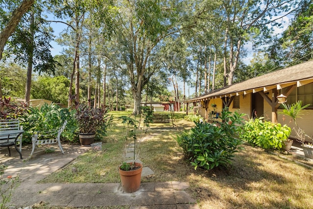 view of yard with a patio area