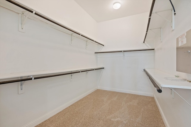 spacious closet featuring light carpet