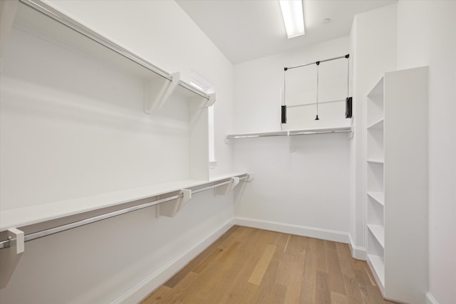 spacious closet with light wood-type flooring