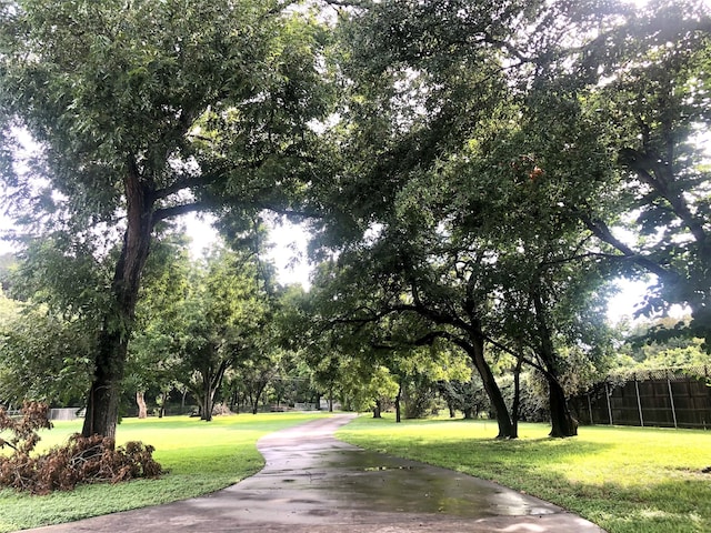 view of community with a lawn