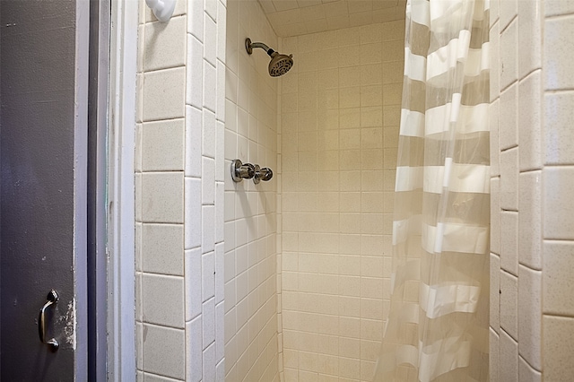 room details with curtained shower