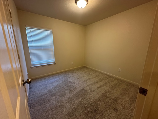 spare room with carpet floors