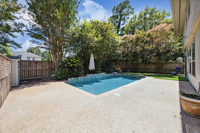 view of pool with a patio area