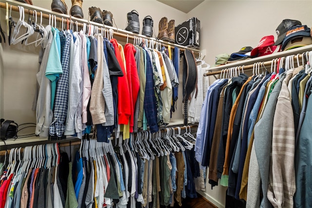 view of walk in closet