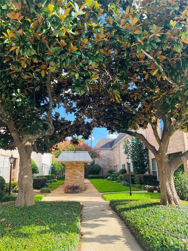 view of home's community featuring a yard