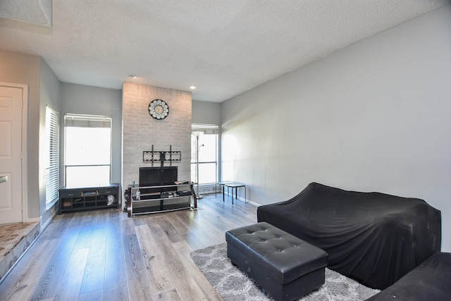 living room featuring hardwood / wood-style floors and a textured ceiling