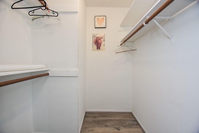 spacious closet featuring dark wood-type flooring