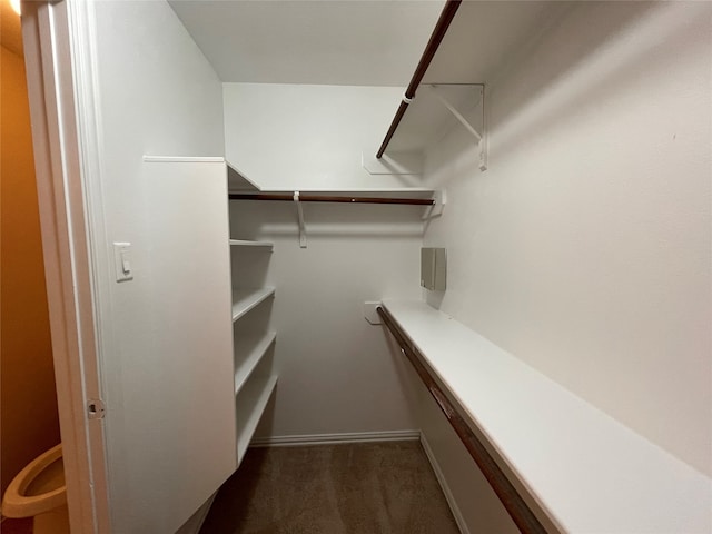 walk in closet with dark carpet