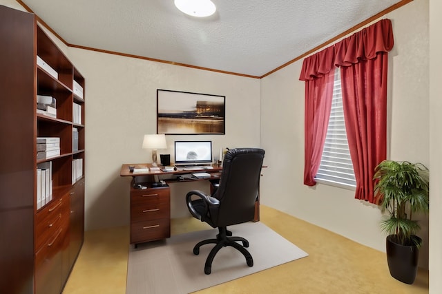 carpeted office with a textured ceiling and ornamental molding