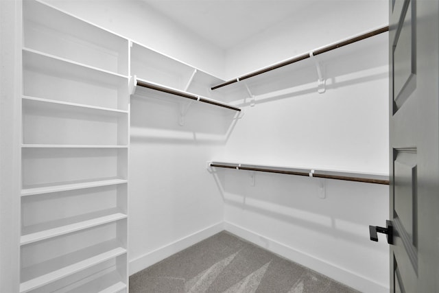 walk in closet with carpet flooring