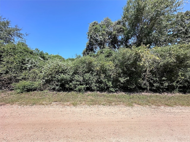 TBD New Mexico Pkwy, Hilltop Lakes TX, 77871 land for sale