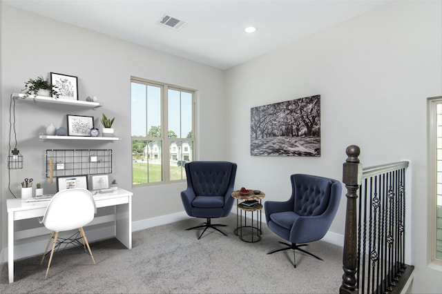 living area featuring carpet flooring