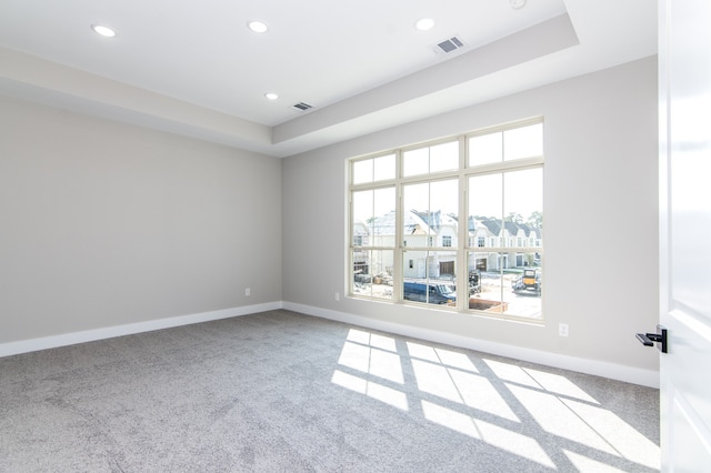 empty room featuring a raised ceiling and light carpet