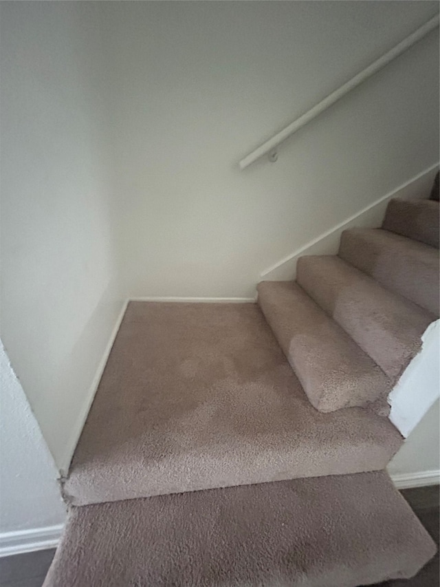 stairway featuring carpet floors