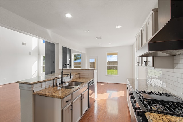 kitchen featuring appliances with stainless steel finishes, decorative backsplash, light hardwood / wood-style floors, custom range hood, and sink