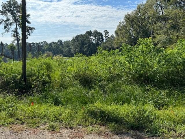 0 Cessna Dr, Montgomery, TX 77316