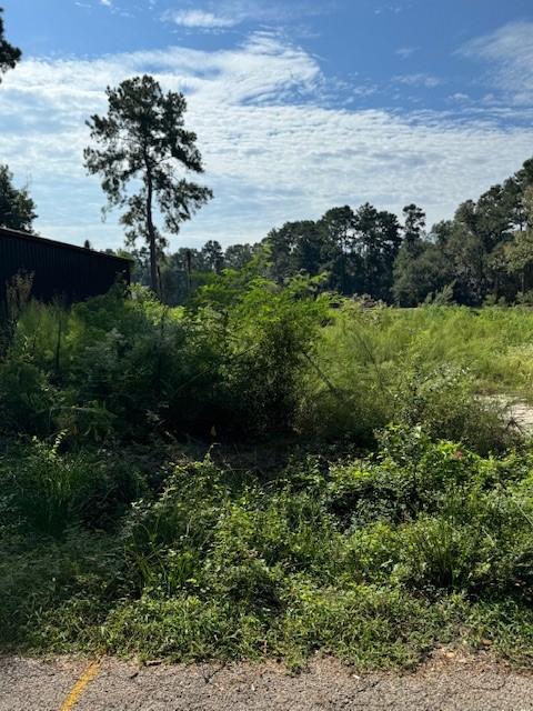 0 Cessna Dr, Montgomery, TX 77316