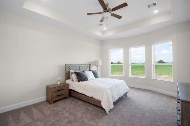 bedroom featuring ceiling fan, carpet, and a tray ceiling