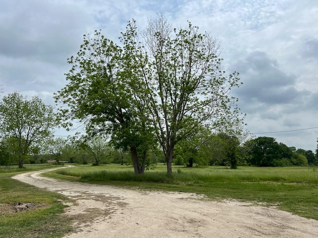 1 County Road 3630, Lovelady, TX 75851 - photo 18