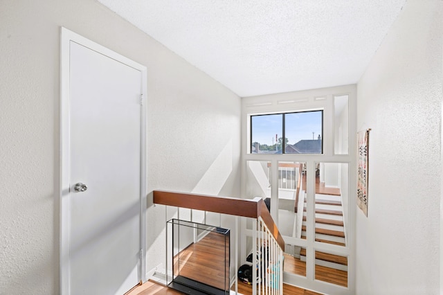 staircase with hardwood / wood-style flooring and a textured ceiling