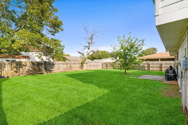 view of yard featuring a patio area