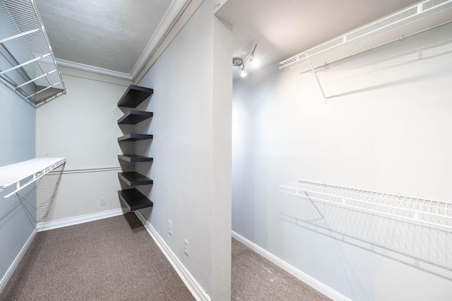 spacious closet featuring carpet