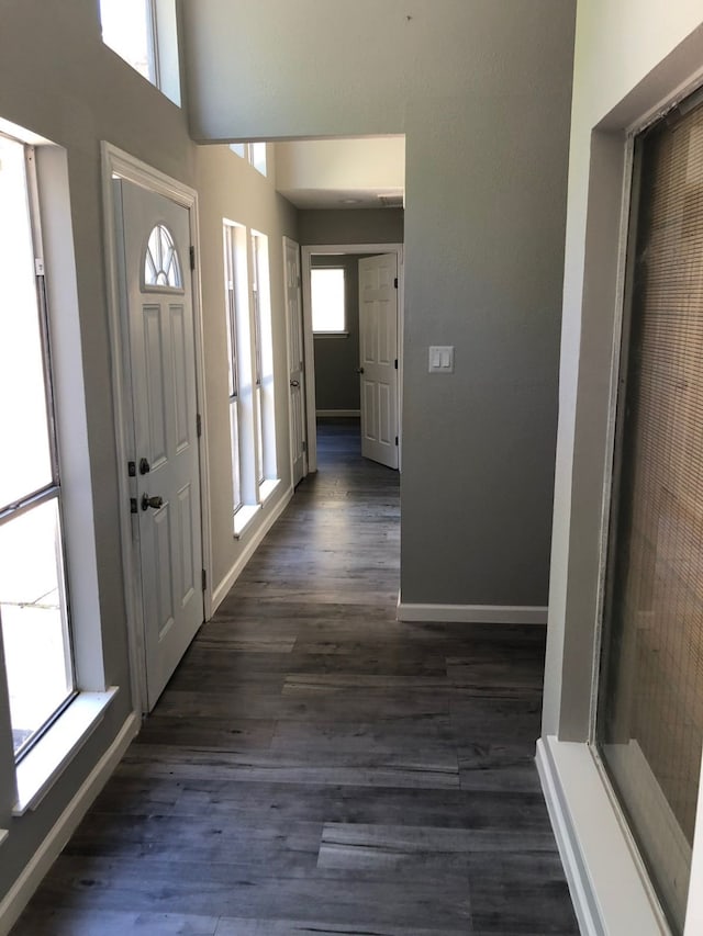 foyer entrance with dark hardwood / wood-style flooring