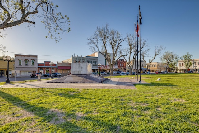 view of home's community with a yard