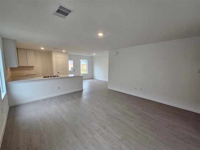 unfurnished living room with wood-type flooring and sink