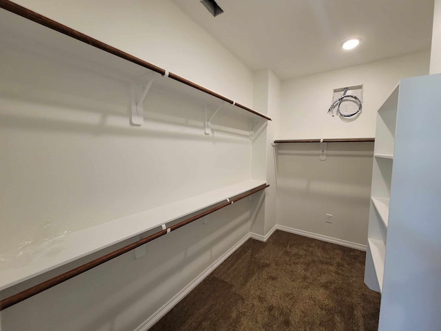 24644 Cavan St, Hempstead, TX 77445 - spacious closet with dark colored carpet