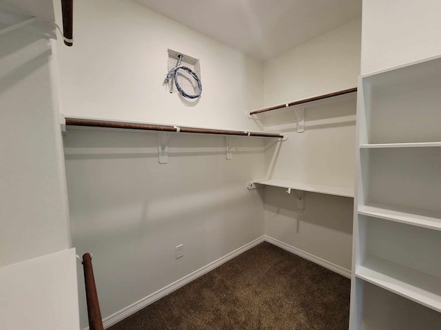 walk in closet featuring dark colored carpet