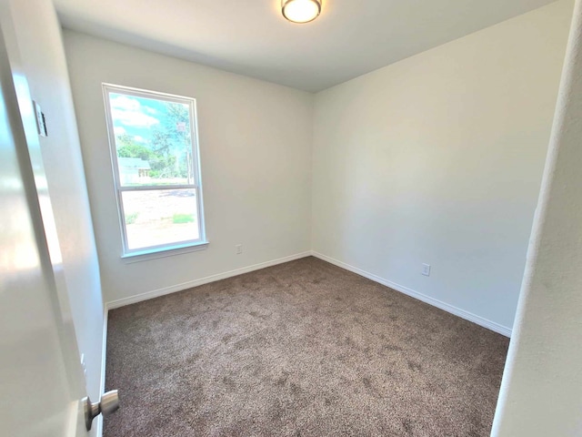 empty room featuring carpet