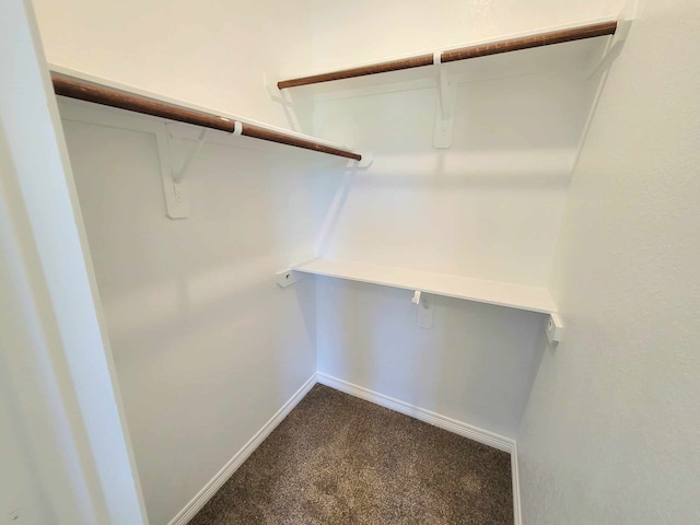 24644 Cavan St, Hempstead, TX 77445 - walk in closet featuring dark carpet
