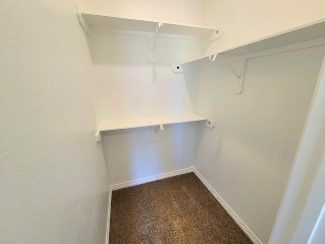 walk in closet featuring carpet