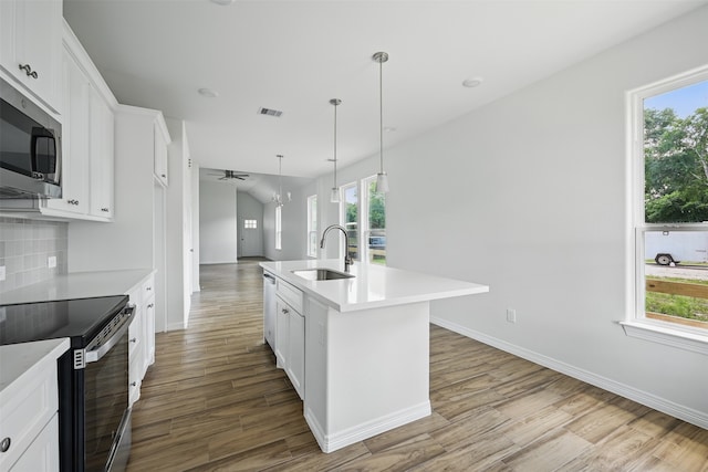 24644 Cavan St, Hempstead, TX 77445 - kitchen featuring a sink, appliances with stainless steel finishes, wood finished floors, a ceiling fan, and plenty of natural light