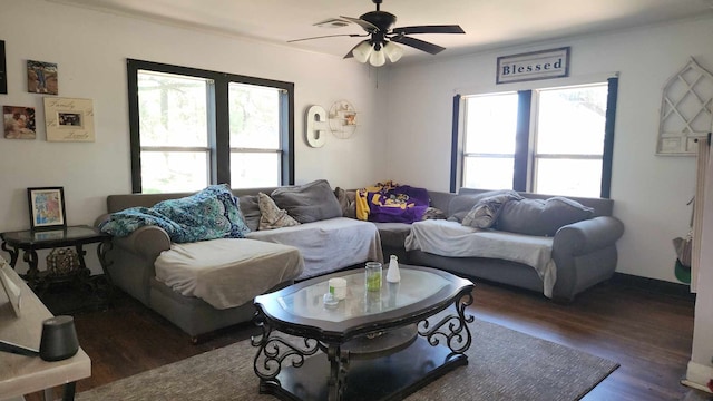 living room with ceiling fan and dark wood-type flooring