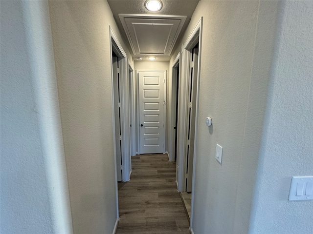 corridor with dark hardwood / wood-style flooring