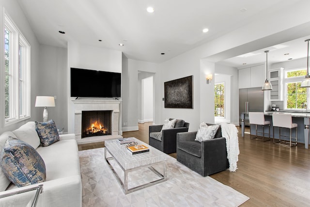 living room featuring wood-type flooring