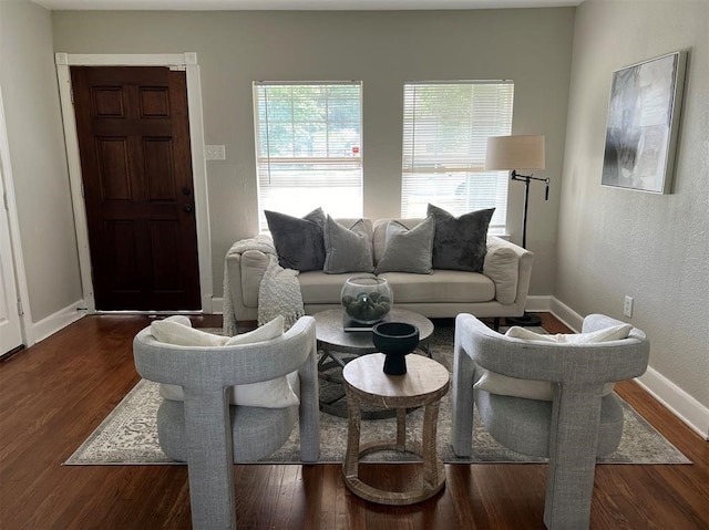 living room with dark hardwood / wood-style flooring